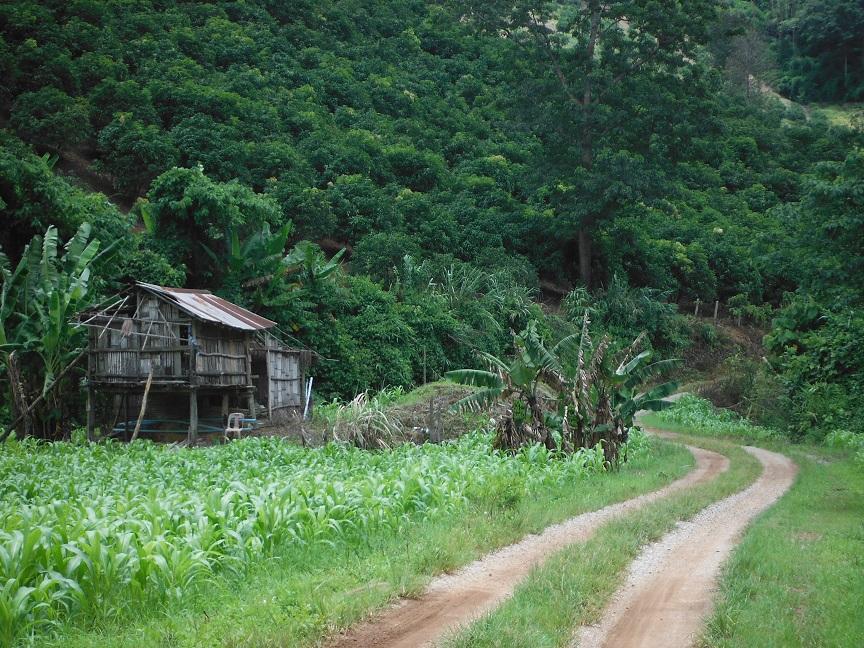 Chiang Rai  (10).JPG