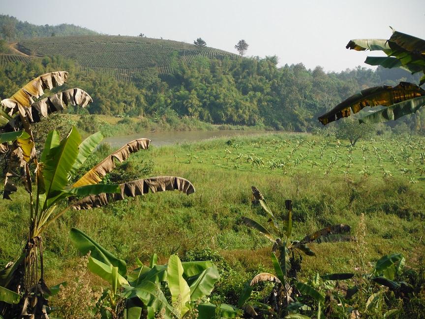 Chiang Rai Motorcycle Doi Chang (1).JPG