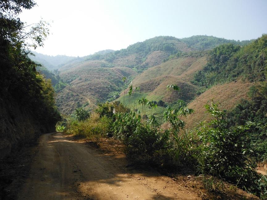 Chiang Rai Motorcycle Doi Chang (13).JPG