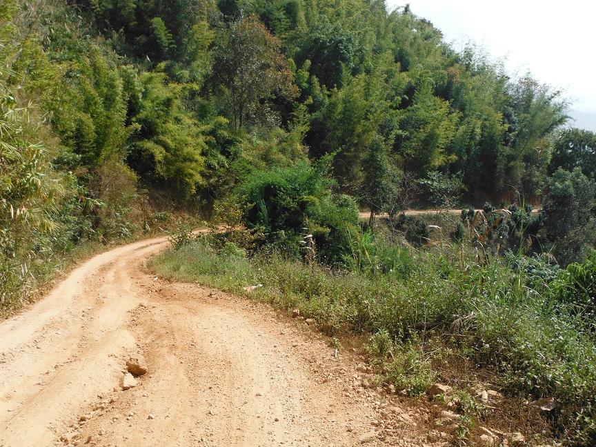 Chiang Rai Motorcycle Doi Chang (26).JPG