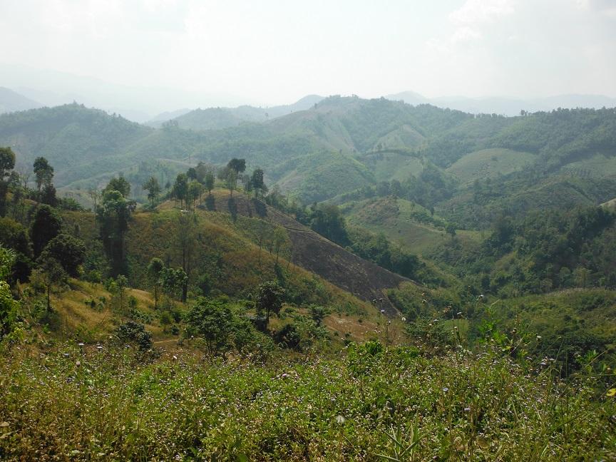 Chiang Rai Motorcycle Doi Chang (27).JPG