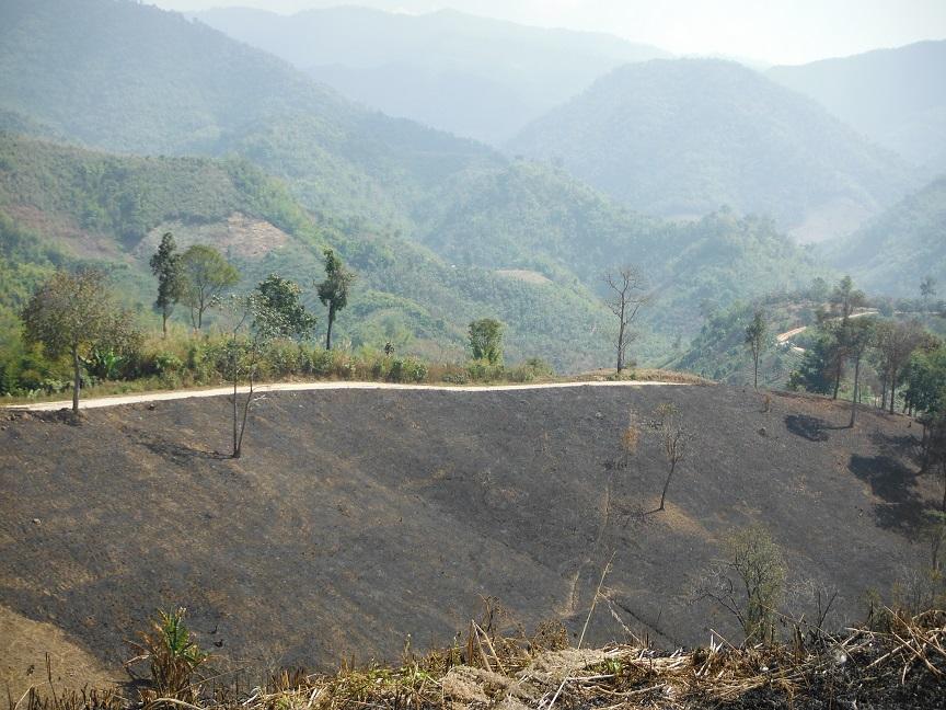 Chiang Rai Motorcycle Doi Chang (28).JPG