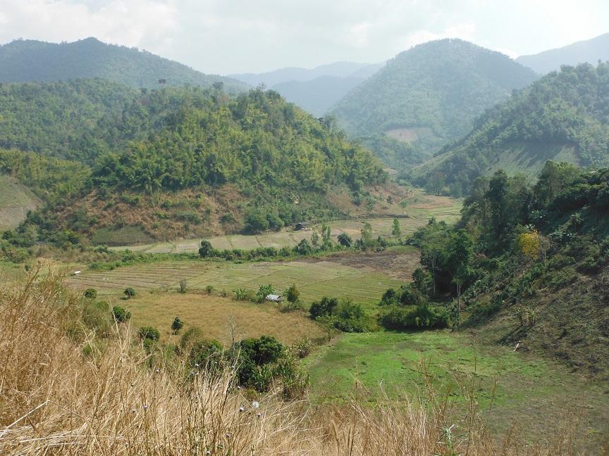 Chiang Rai Motorcycle Doi Chang (29).JPG