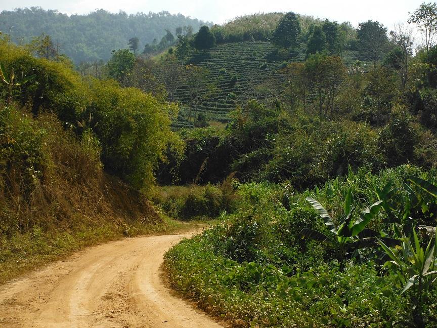 Chiang Rai Motorcycle Doi Chang (32).JPG
