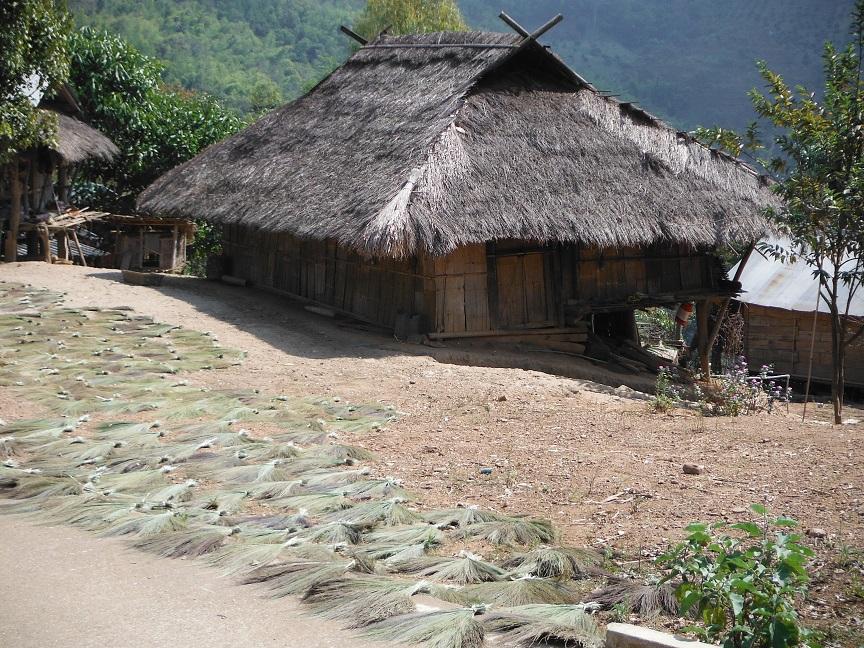 Chiang Rai Motorcycle Doi Chang (35).JPG