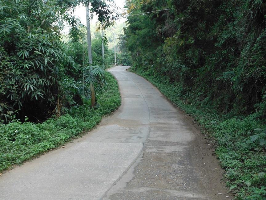 Chiang Rai Motorcycle Doi Chang (36).JPG