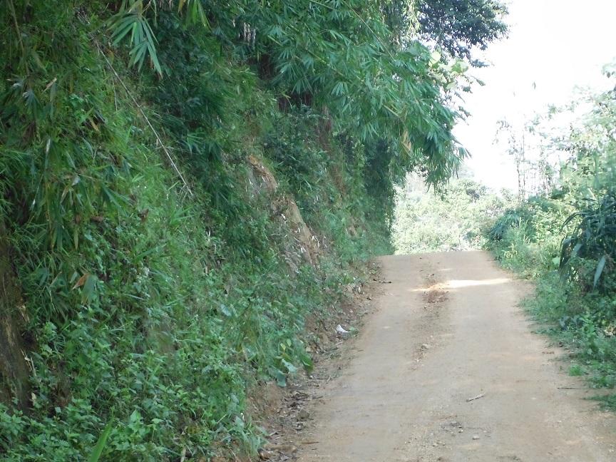 Chiang Rai Motorcycle Doi Chang (9).JPG