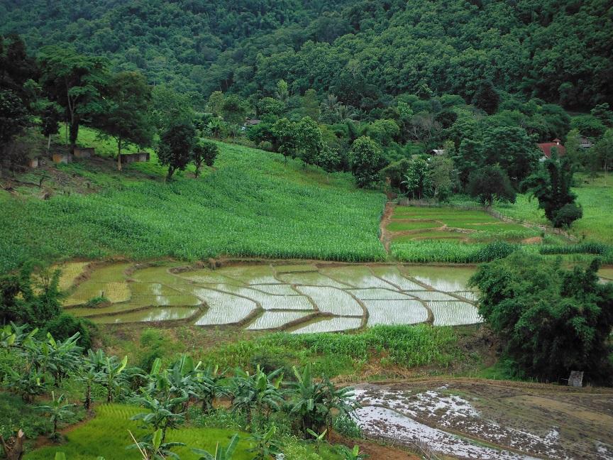 Chiang Rai Wawi Dirt Ride (13).JPG