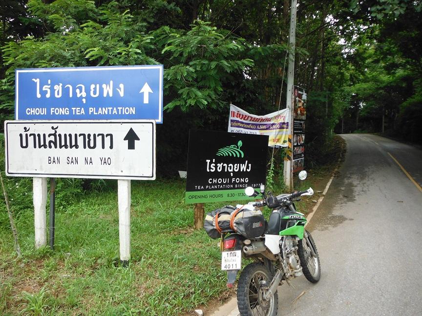 Choui Fong Tea Plantation Chiang Rai (1).JPG