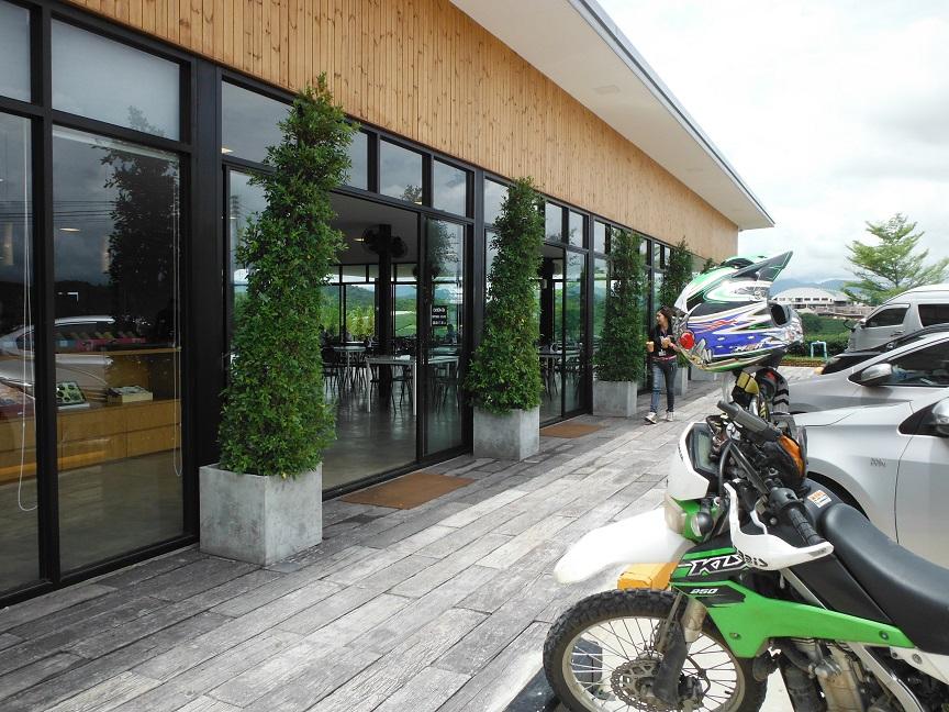 Choui Fong Tea Plantation Chiang Rai (11).JPG