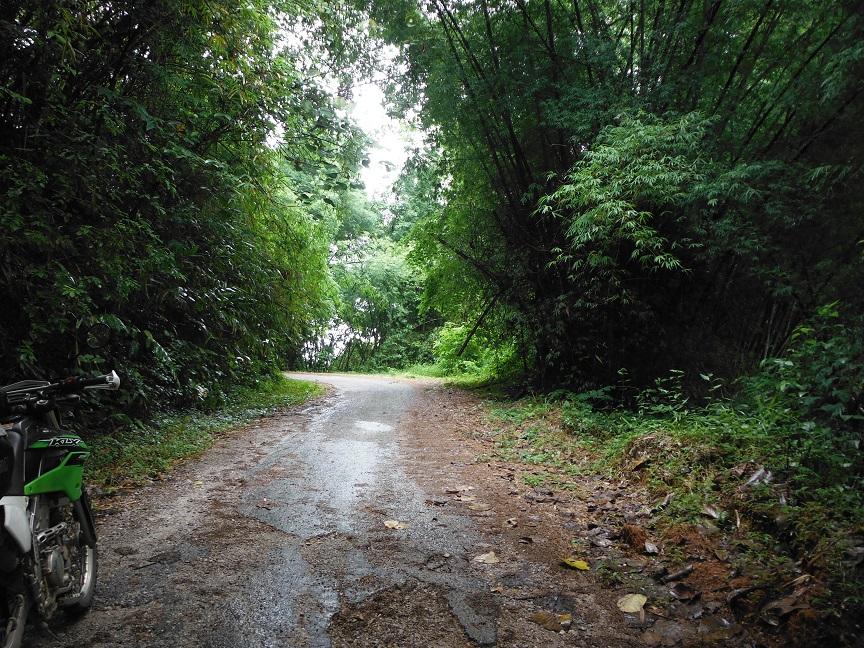 Choui Fong Tea Plantation Chiang Rai (16).JPG