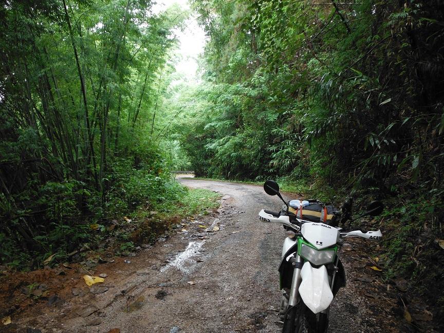 Choui Fong Tea Plantation Chiang Rai (17).JPG