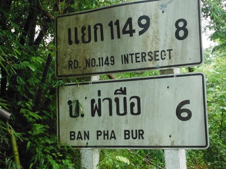 Choui Fong Tea Plantation Chiang Rai (18).JPG