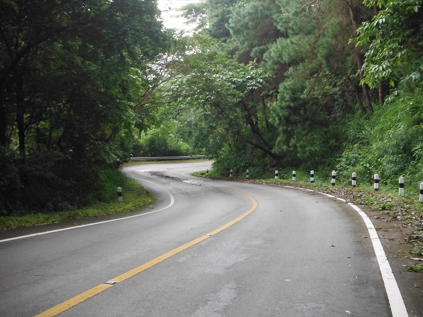 Choui Fong Tea Plantation Chiang Rai (19).JPG