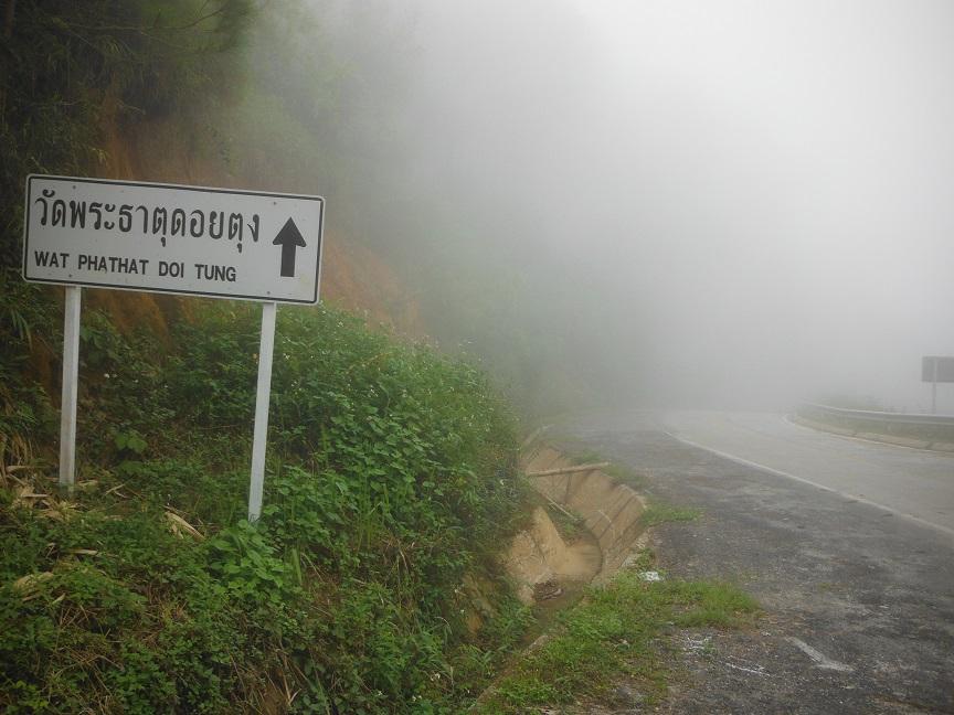 Choui Fong Tea Plantation Chiang Rai (20).JPG