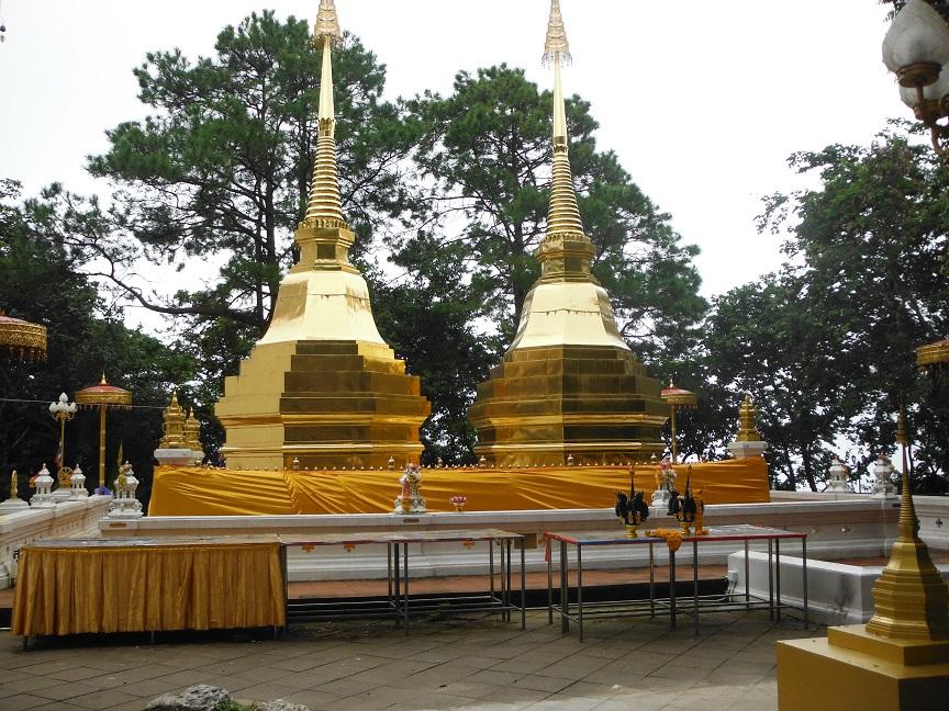 Choui Fong Tea Plantation Chiang Rai (23).JPG