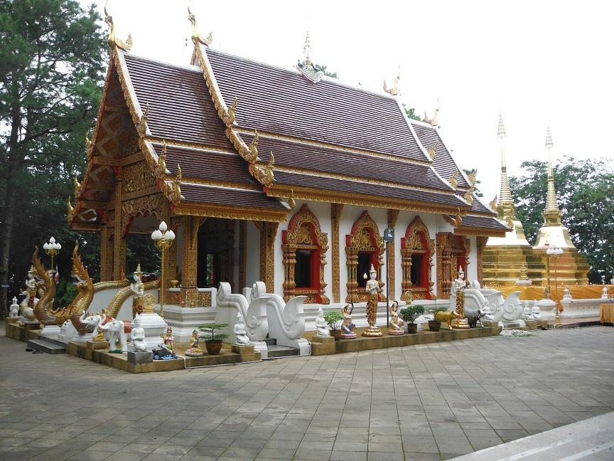 Choui Fong Tea Plantation Chiang Rai (24).JPG