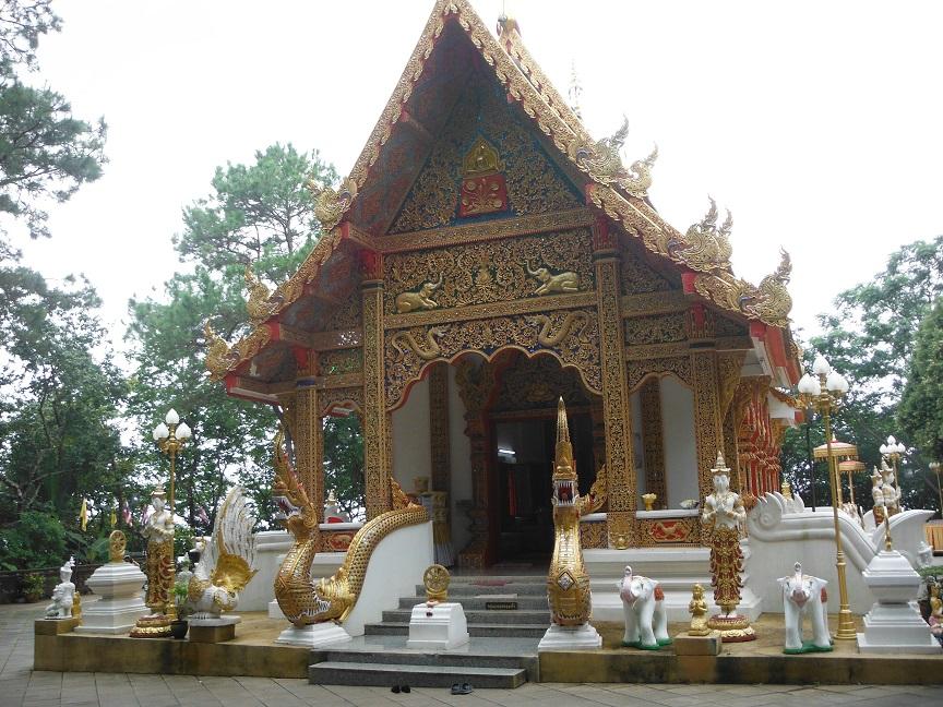 Choui Fong Tea Plantation Chiang Rai (25).JPG