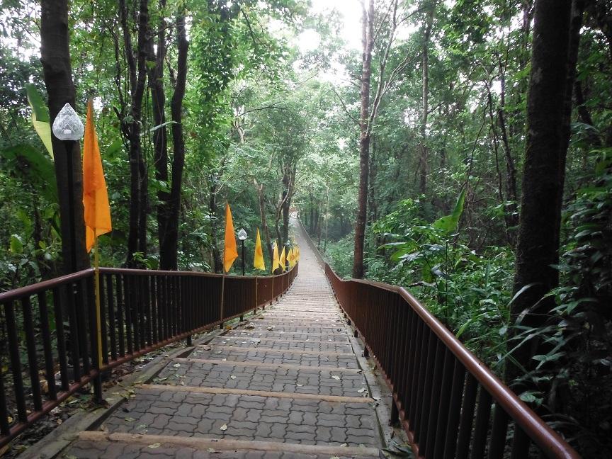 Choui Fong Tea Plantation Chiang Rai (26).JPG