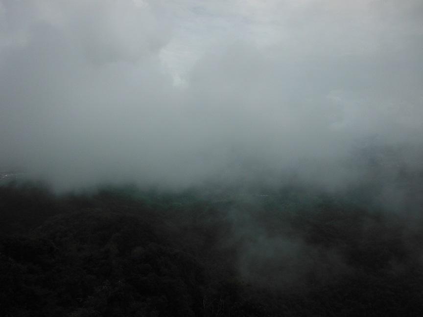 Choui Fong Tea Plantation Chiang Rai (27).JPG