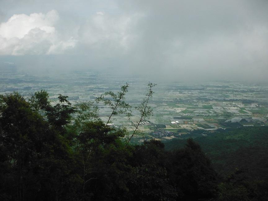 Choui Fong Tea Plantation Chiang Rai (28).JPG