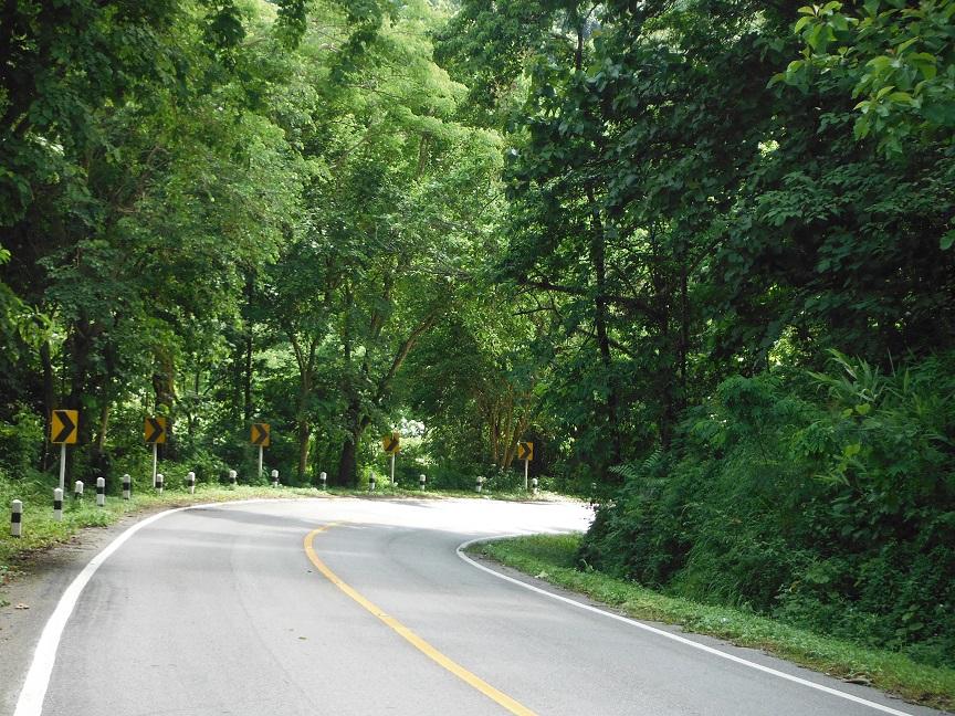 Choui Fong Tea Plantation Chiang Rai (29).JPG