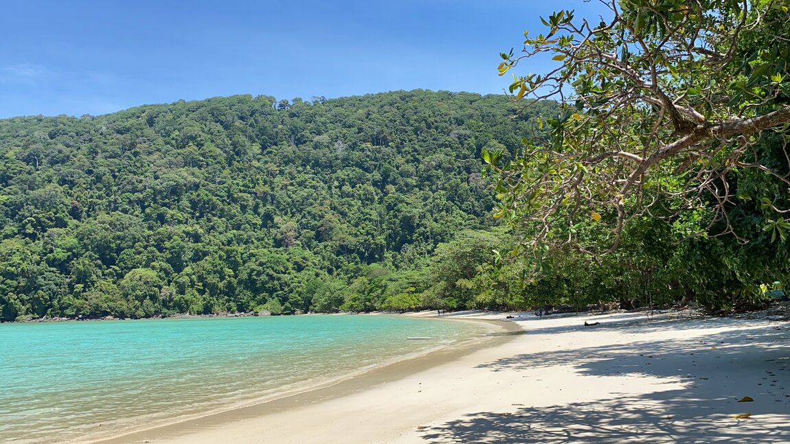 D04E545D-7833-4F36-9182-279342F0846D.jpeg D04E545D-7833-4F36-9182-279342F0846D.jpeg