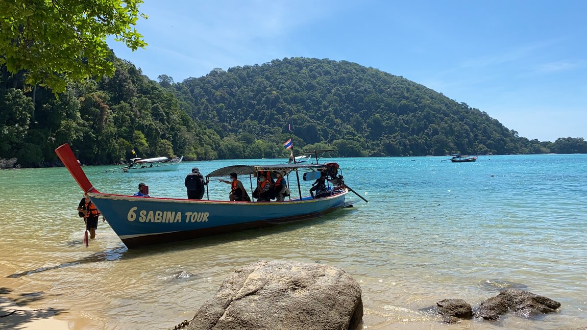 D6F3CD4A-F7E9-44B5-8D44-C3D6907FEA64.jpeg D6F3CD4A-F7E9-44B5-8D44-C3D6907FEA64.jpeg