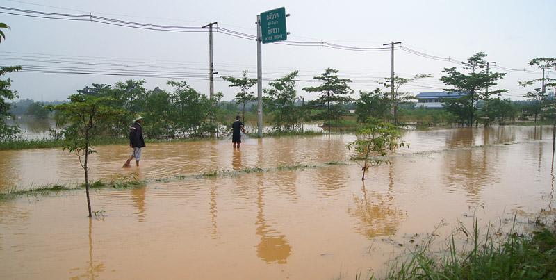 DSC05074b.jpg DSC05074b.jpg