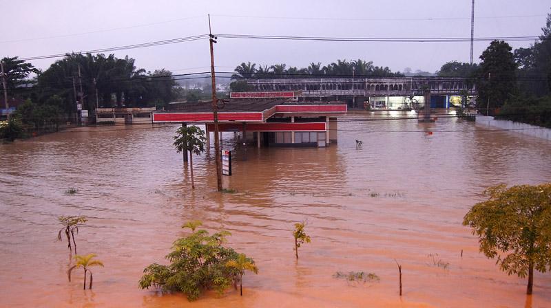 DSC05085c.jpg DSC05085c.jpg