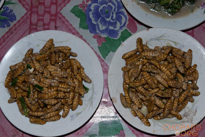 DSC_0026.jpg DSC_0026.jpg