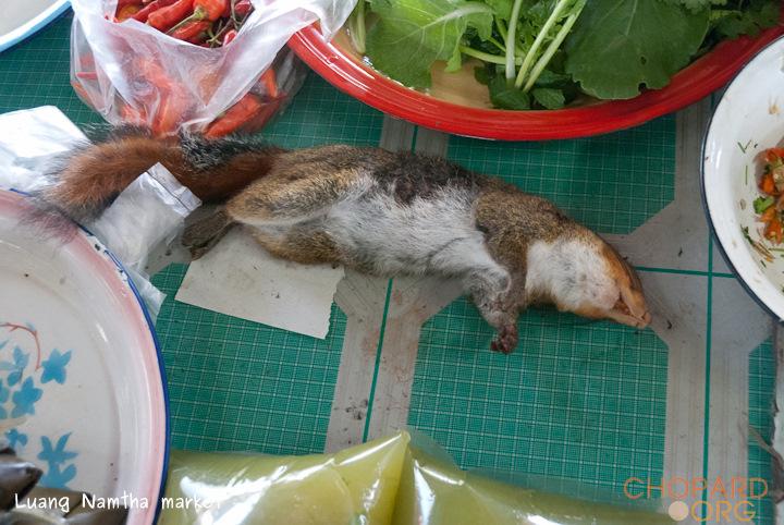 DSC_0031.jpg DSC_0031.jpg