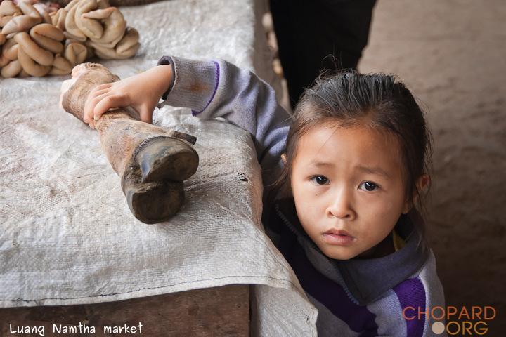 DSC_0040.jpg DSC_0040.jpg