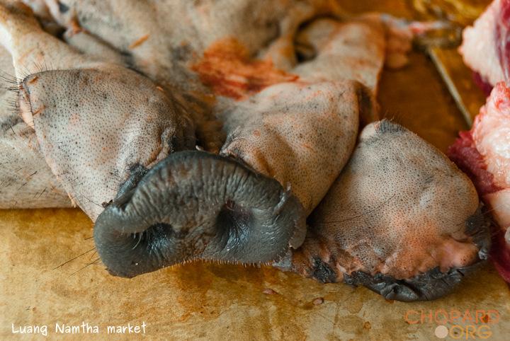 DSC_0052.jpg DSC_0052.jpg