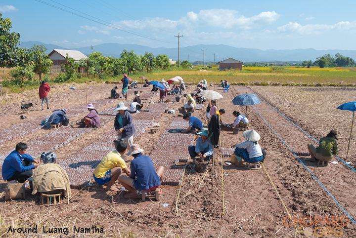 DSC_0056.jpg DSC_0056.jpg