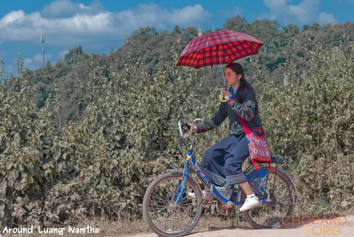 DSC_0062.jpg DSC_0062.jpg