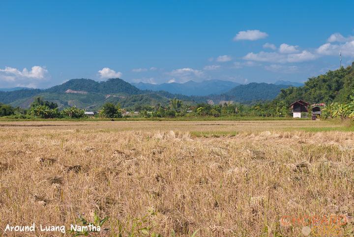 DSC_0064.jpg DSC_0064.jpg