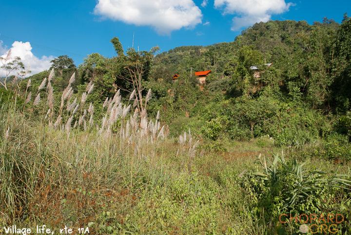 DSC_0104.jpg DSC_0104.jpg