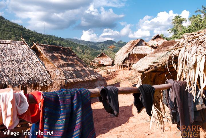 DSC_0142.jpg DSC_0142.jpg