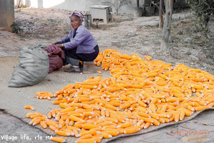 DSC_0150.jpg DSC_0150.jpg