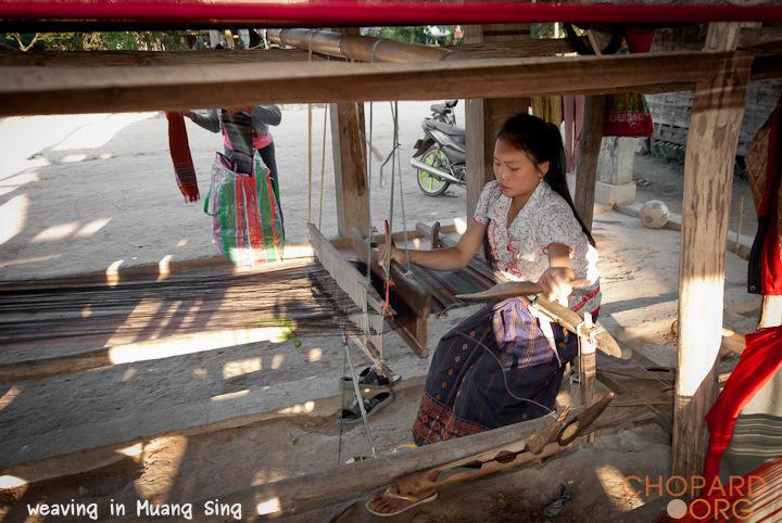 DSC_0157.jpg DSC_0157.jpg