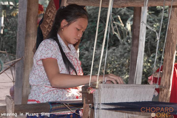 DSC_0161.jpg DSC_0161.jpg