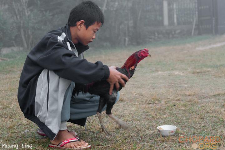 DSC_0197.jpg DSC_0197.jpg