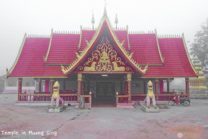 DSC_0207-Edit.jpg DSC_0207-Edit.jpg