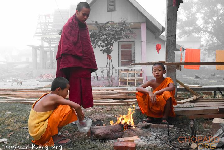 DSC_0209.jpg DSC_0209.jpg