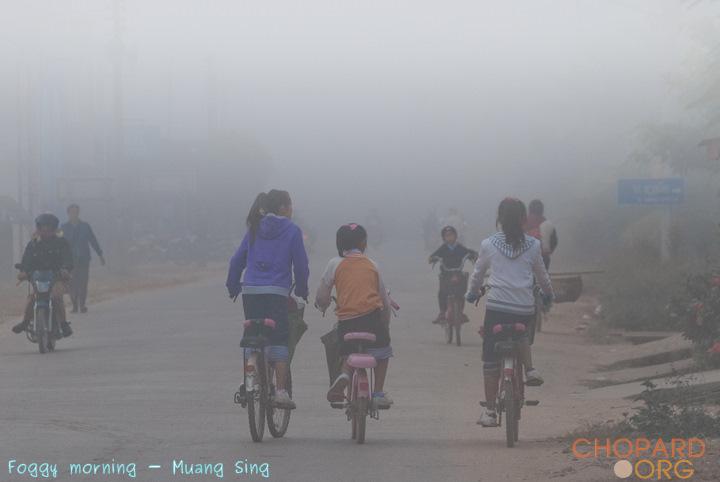 DSC_0211-Edit.jpg DSC_0211-Edit.jpg