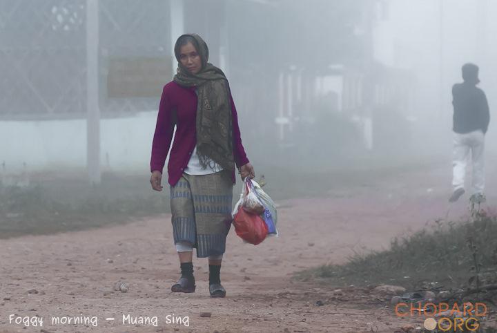 DSC_0213.jpg DSC_0213.jpg