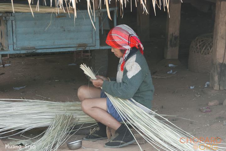 DSC_0214.jpg DSC_0214.jpg