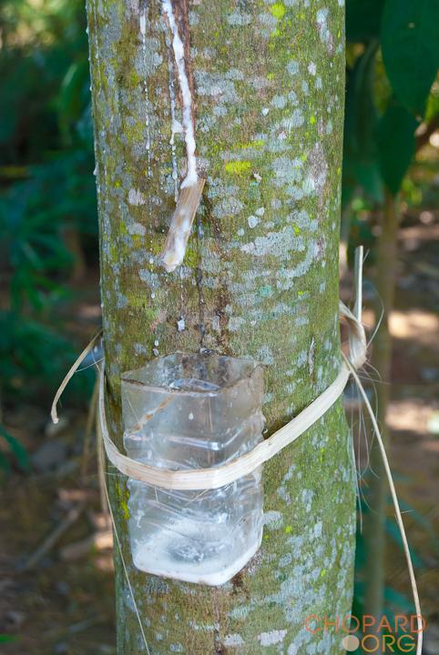 DSC_0226.jpg DSC_0226.jpg