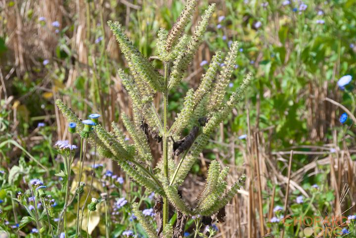 DSC_0229.jpg DSC_0229.jpg